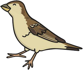 Sparrow
